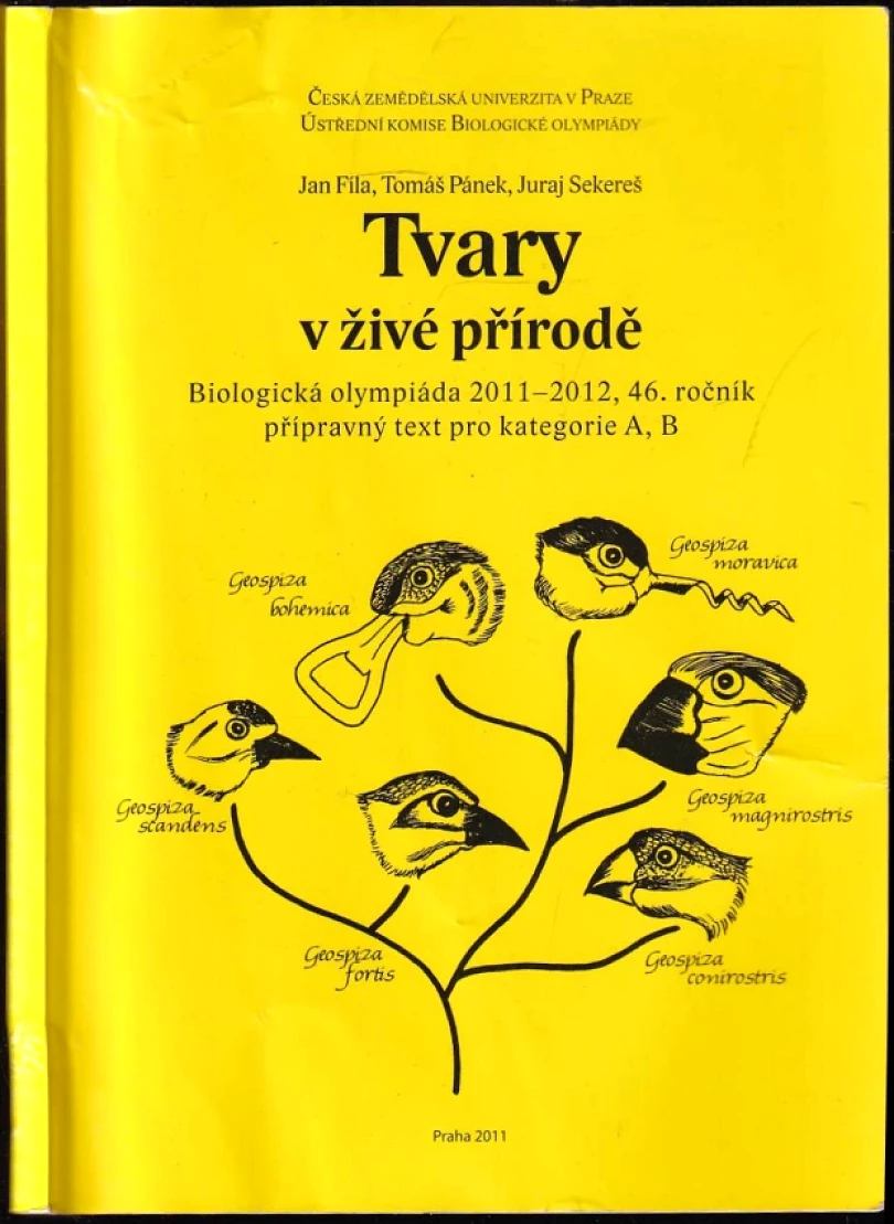 Tvary v živé přírodě (Jan Fíla, 2011)