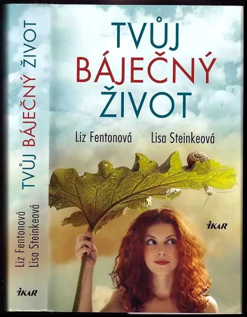 Tvůj báječný život (Liz Fenton, 2016)