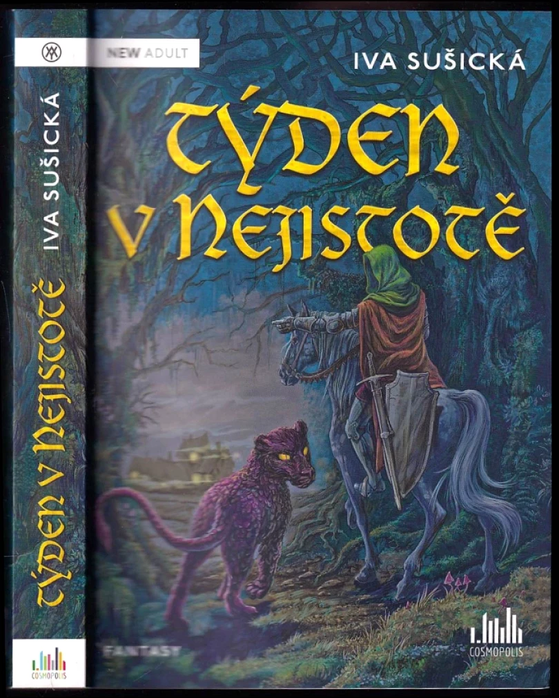 Týden v Nejistotě (Iva Sušická, 2025)