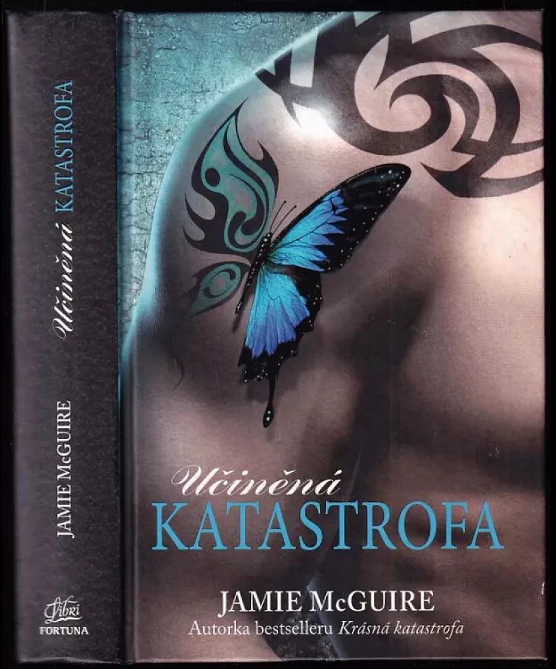 Levně Učiněná katastrofa (Jamie McGuire, 2014)