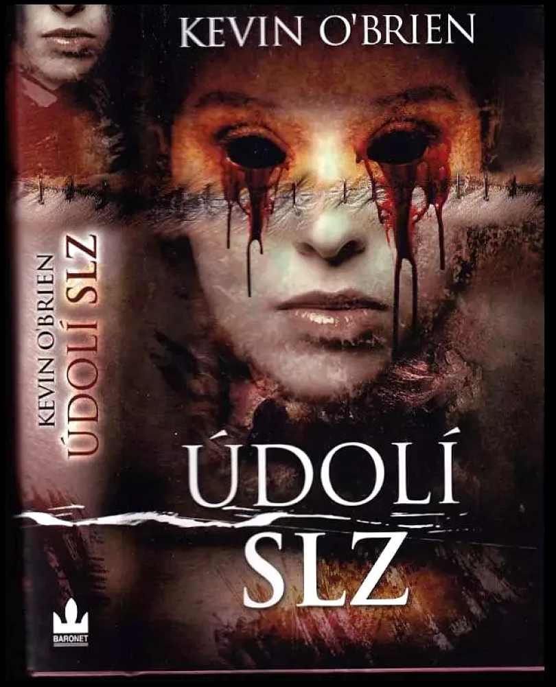 Údolí slz (Kevin O'Brien, 2013)