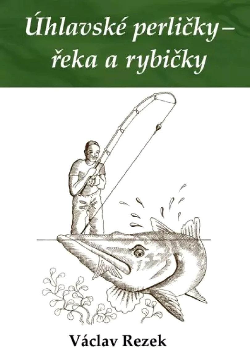 Levně Úhlavské perličky - řeka a rybičky (Václav Rezek, 2021)