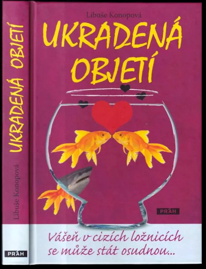 Levně Ukradená objetí (Libuše Konopová, 2014)