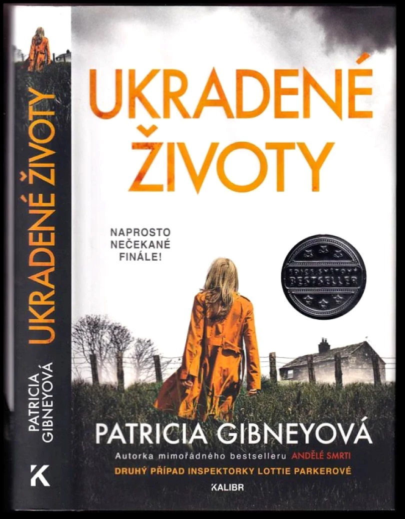 Levně Ukradené životy (Patricia Gibney, 2019)