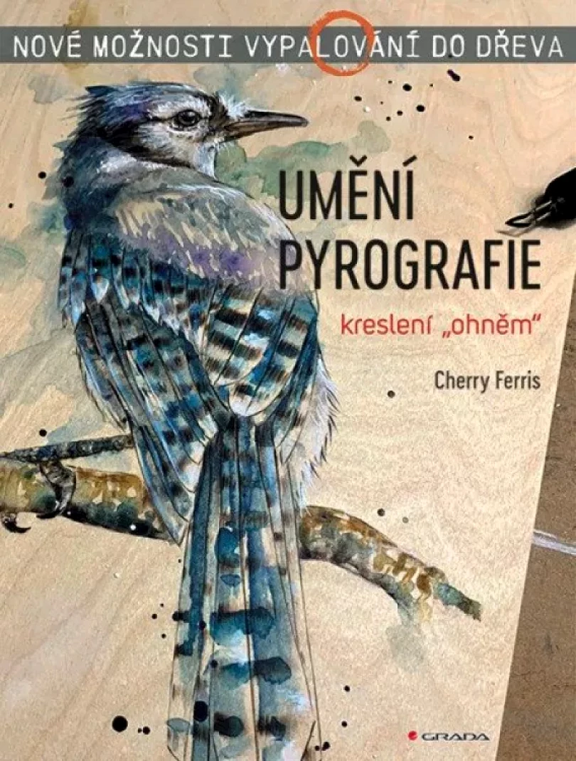 Levně Umění pyrografie (Cherry Ferris, 2024)