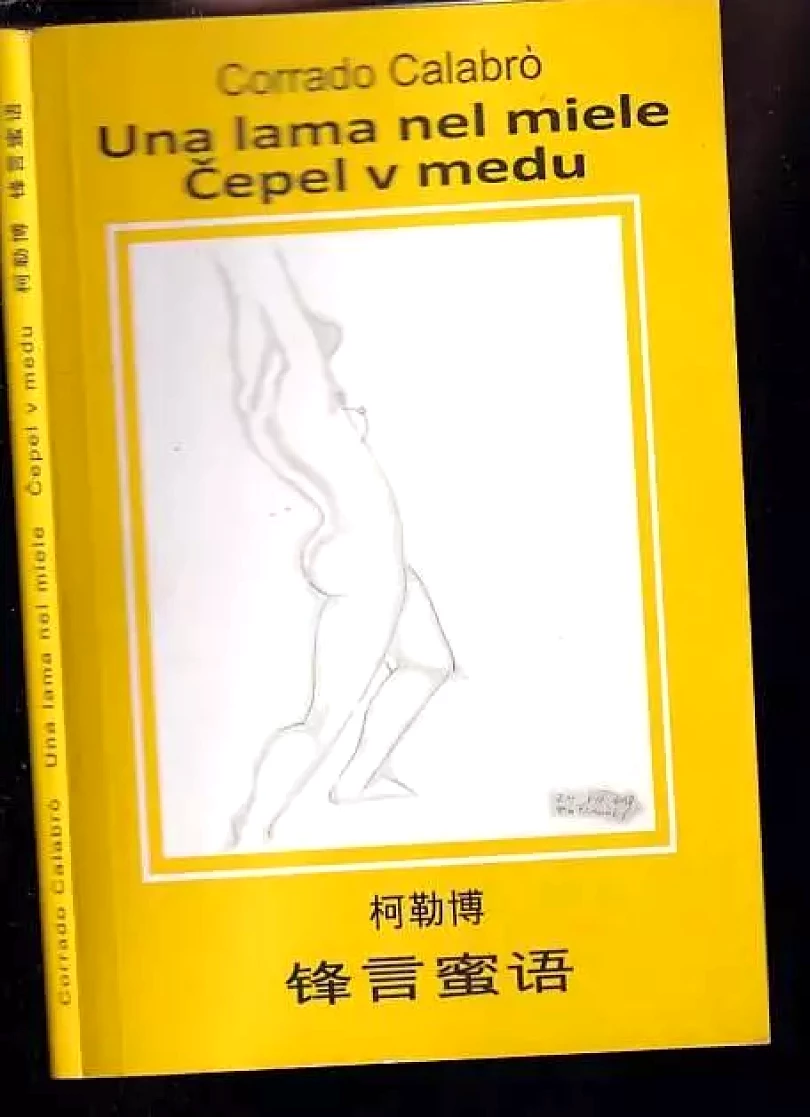 Una lama nel miele (Corrado Calabrò, 2012)