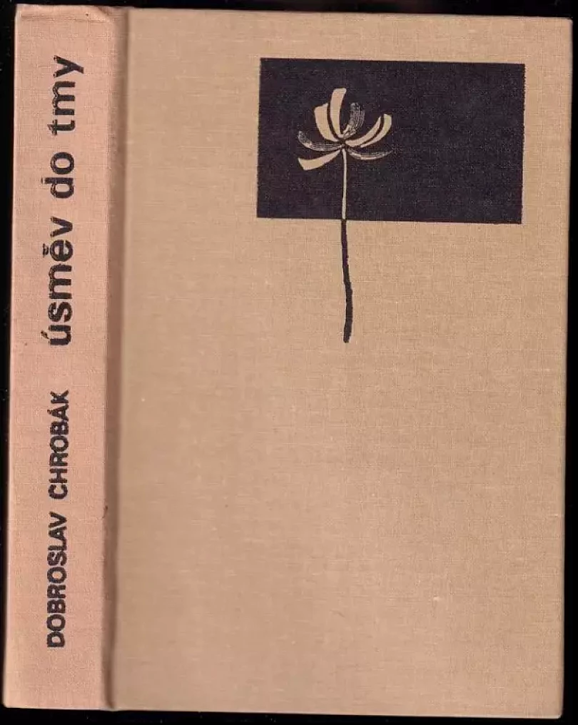 Úsměv do tmy (Dobroslav Chrobák, 1976)