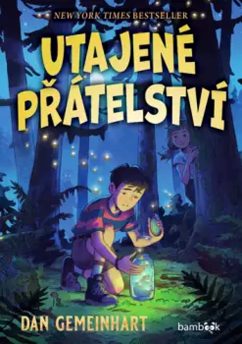 Utajené přátelství (Dan Gemeinhart, 2024)