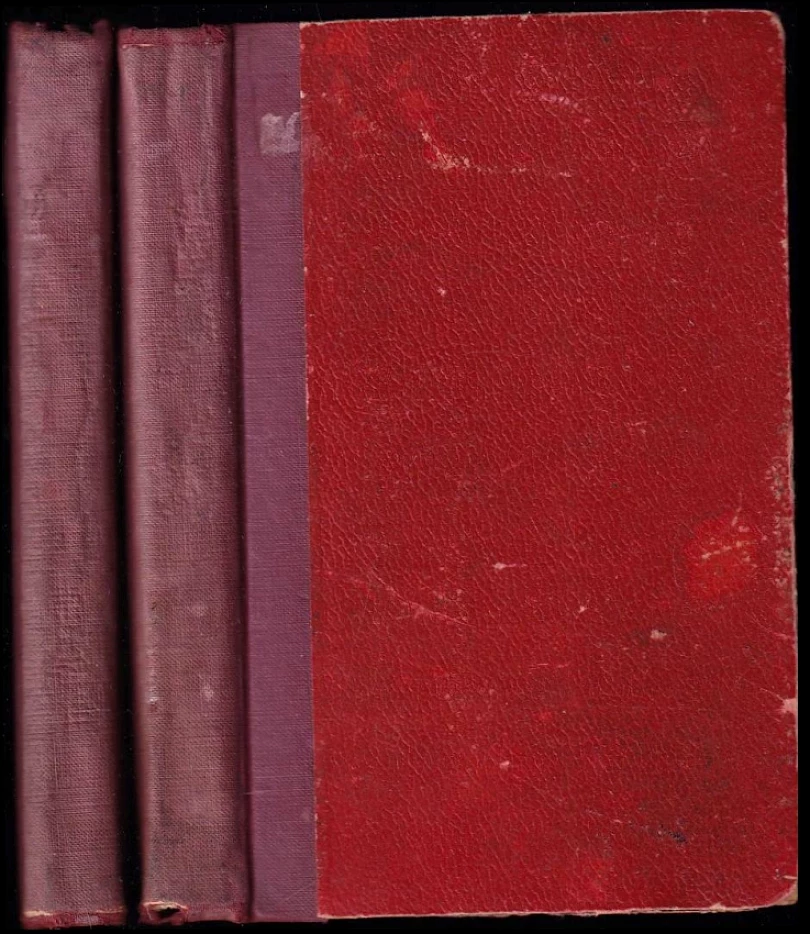 Levně Utrpením ke štěstí (A. H. Budejovický, 1939)