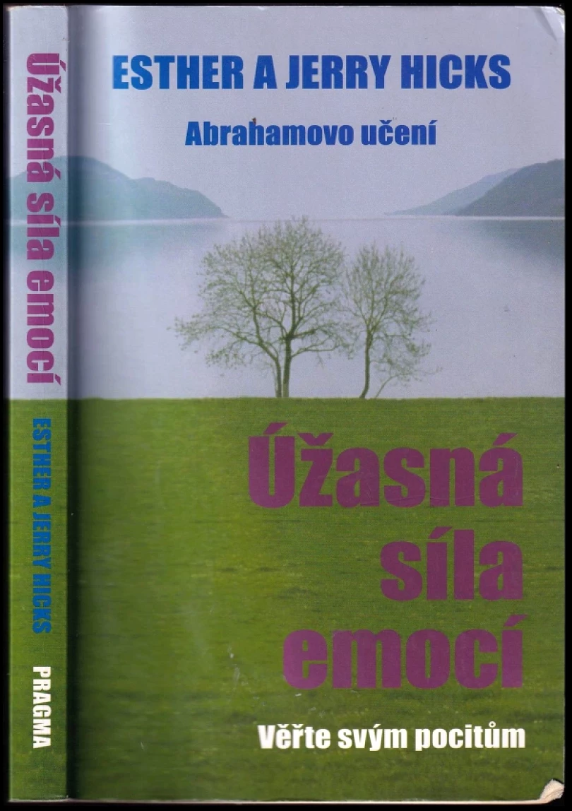 Levně Úžasná síla emocí (Esther Hicks, 2008)