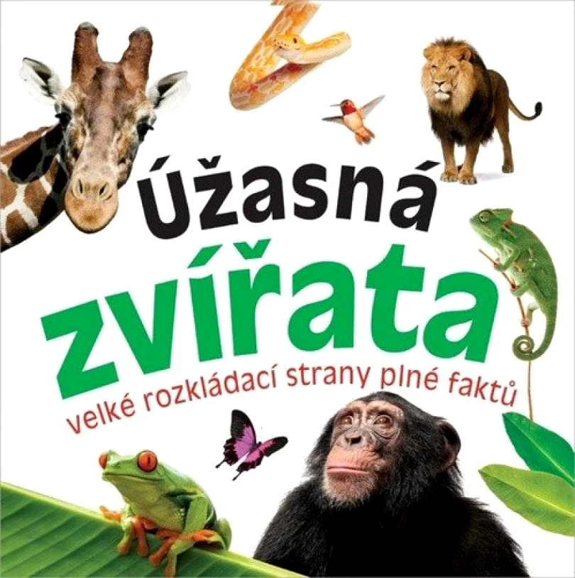 Levně Úžasná zvířata (, 2018)