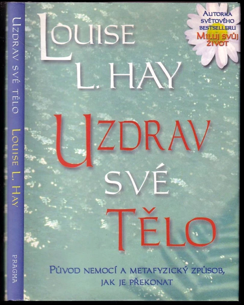 Levně Uzdrav své tělo (Louise L Hay, 2002)