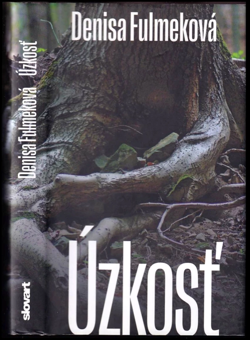 Levně Úzkosť (Denisa Fulmeková, 2022)