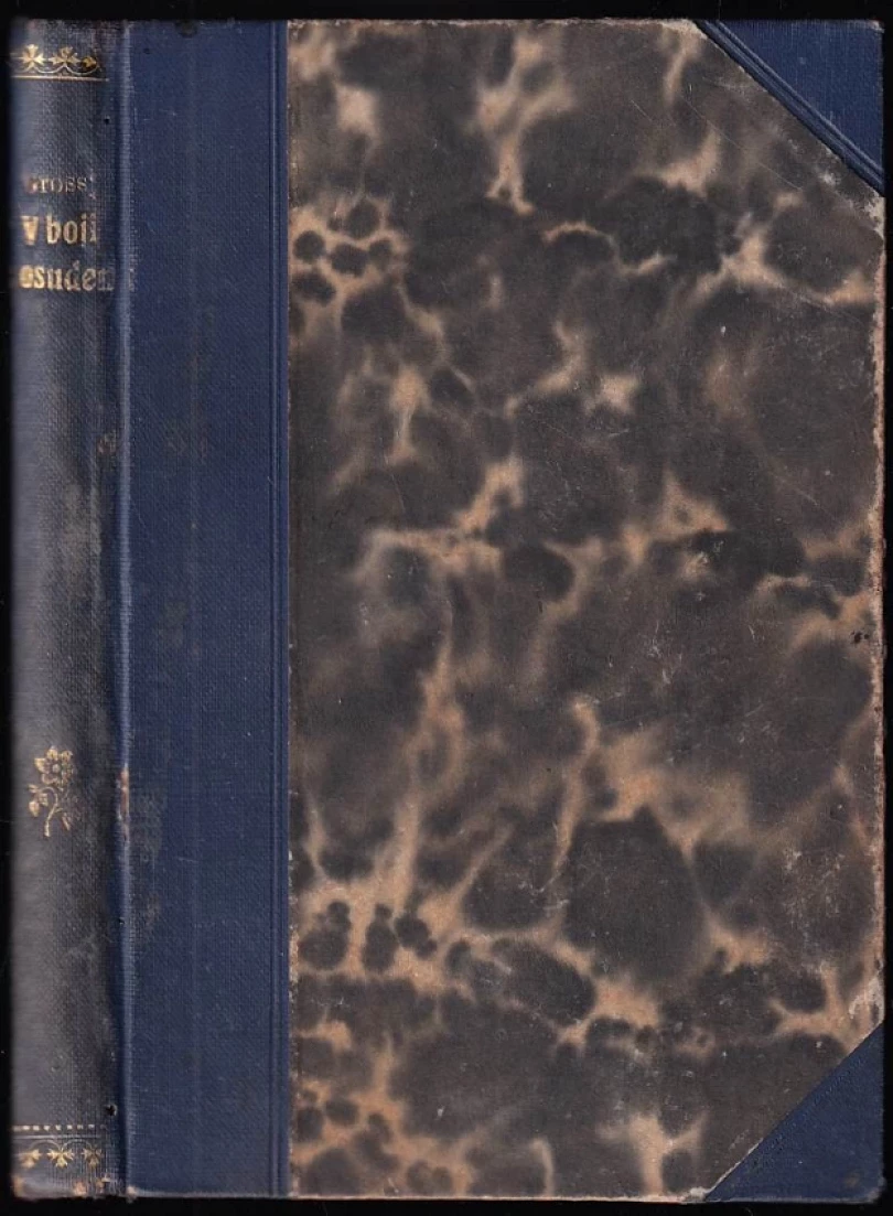 V boji s osudem (Ludmila Grossmannová Brodská, 1925)