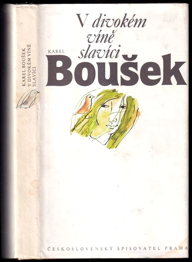 Levně V divokém víně slavíci (Karel Boušek, 1982)
