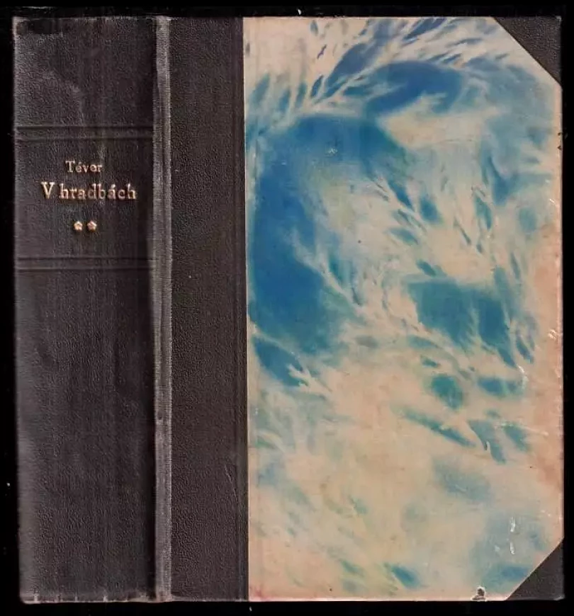 Levně V hradbách : román (Felix Téver, 1931)