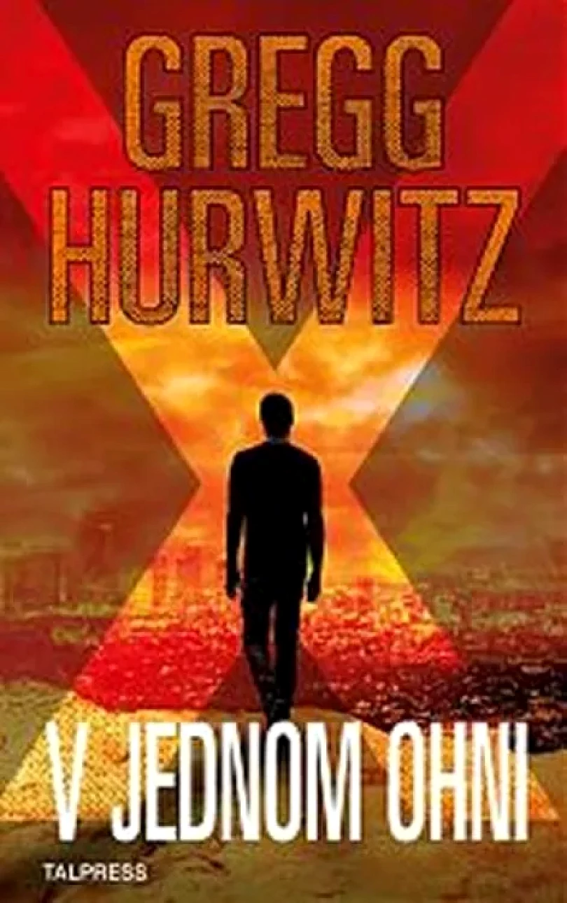 Levně V jednom ohni (Gregg Andrew Hurwitz, 2020)