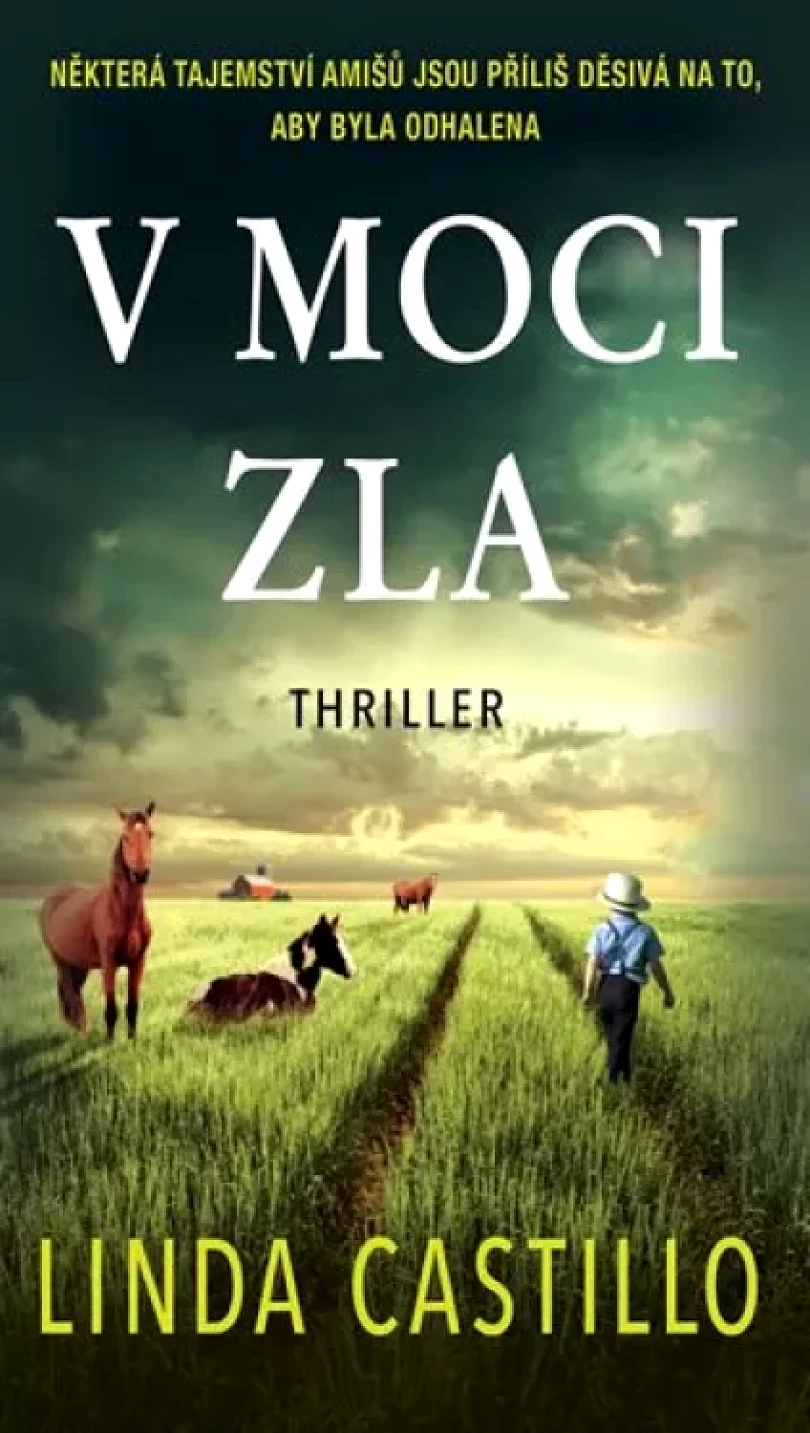 Levně V moci zla (Linda Castillo, 2020)