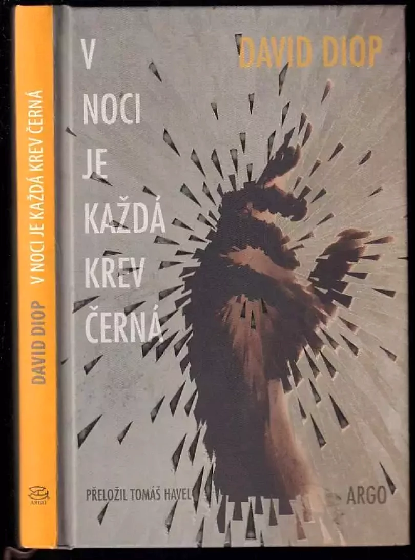 Levně V noci je každá krev černá (David Diop, 2022)
