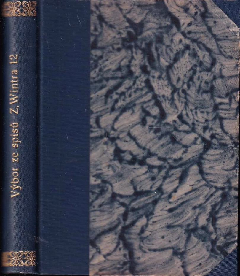 Levně V ohradě měst a městských zdech (Zikmund Winter, 1889)