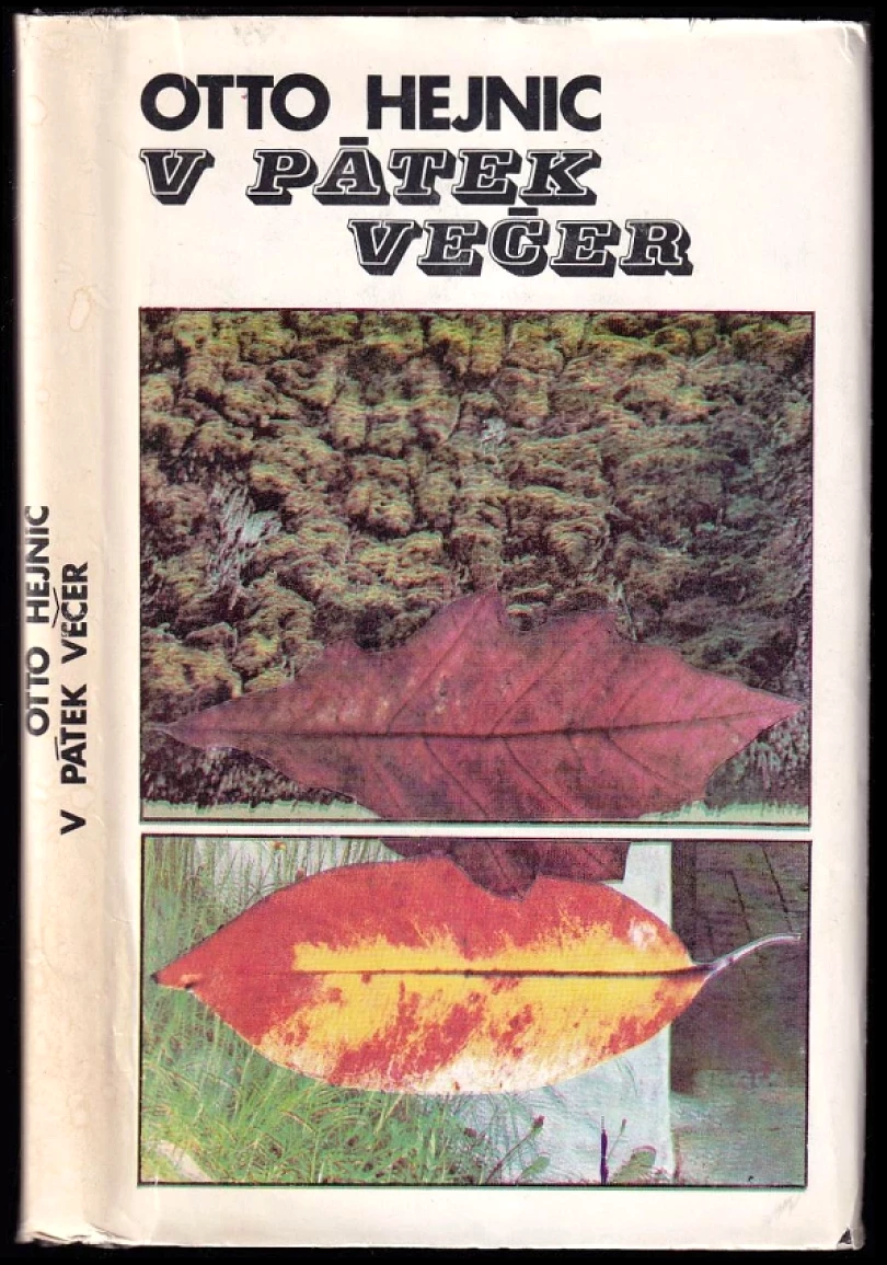 V pátek večer (Otto Hejnic, 1983)