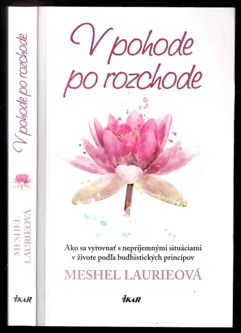 Levně V pohode po rozchode (Meshel Laurie, 2017)