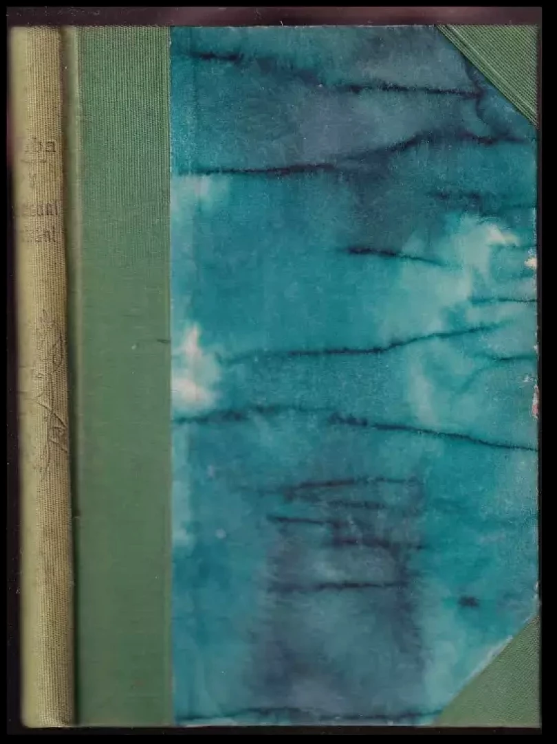 V polední stráni : básně (, 1931)