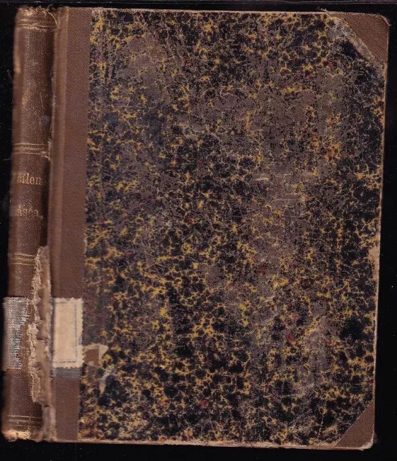 Levně V šílené lásce (Henry Gréville, 1903)