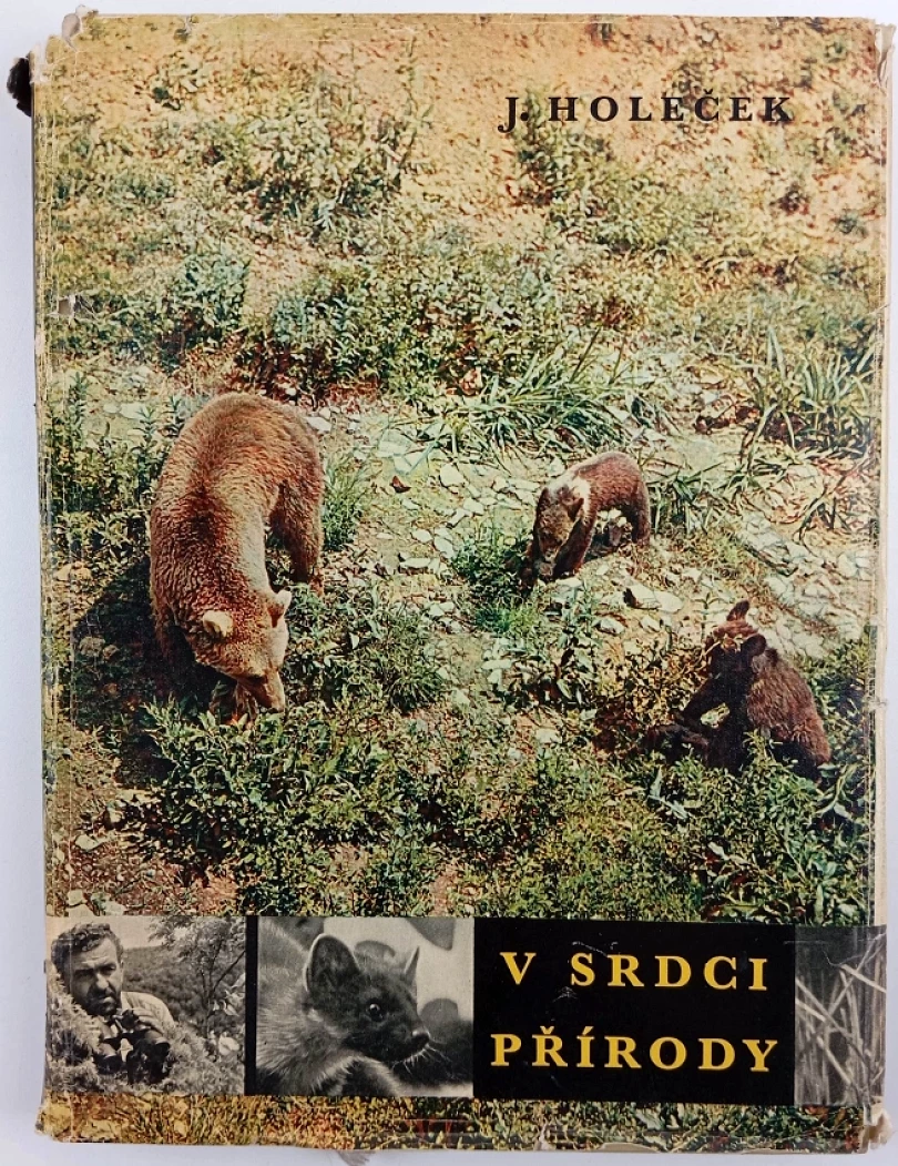 V srdci přírody (Jaroslav Holeček, 1964)