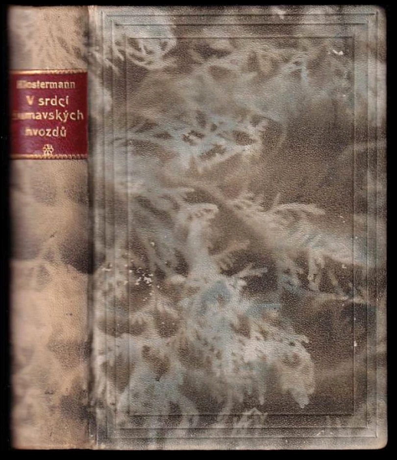 Levně V srdci šumavských hvozdů (Karel Klostermann, 1919)