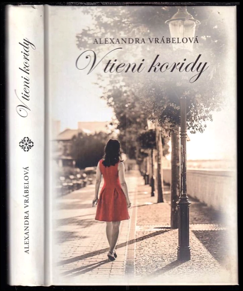 Levně V tieni koridy (Alexandra Vrábelová, 2022)