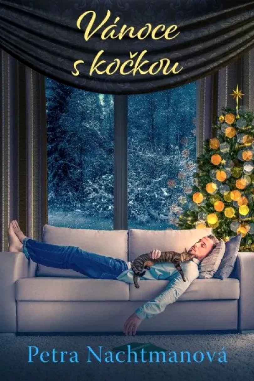 Vánoce s kočkou (Petra Nachtmanová, 2024)