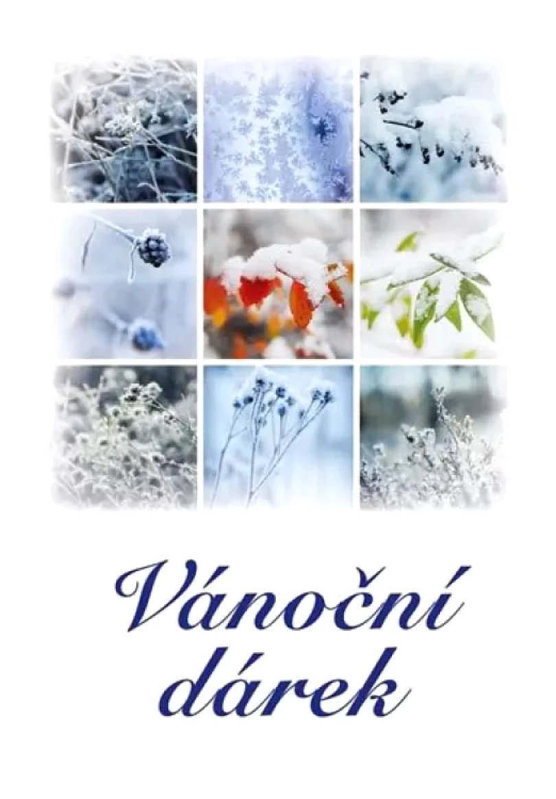 Vánoční dárek (, 2018)