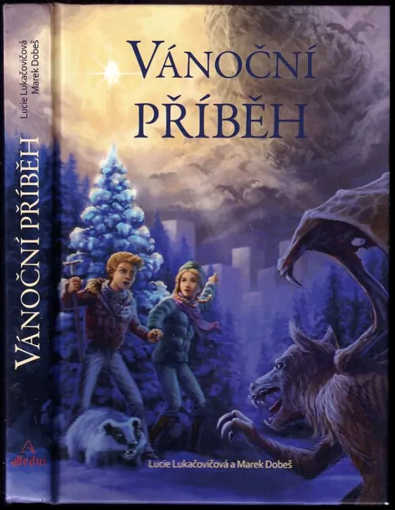Levně Vánoční příběh (Lucie Lukačovičová, 2013)