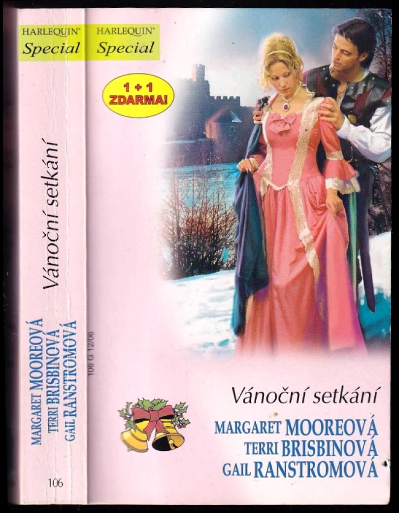 Levně Vánoční setkání (Terri Brisbin, 2006)