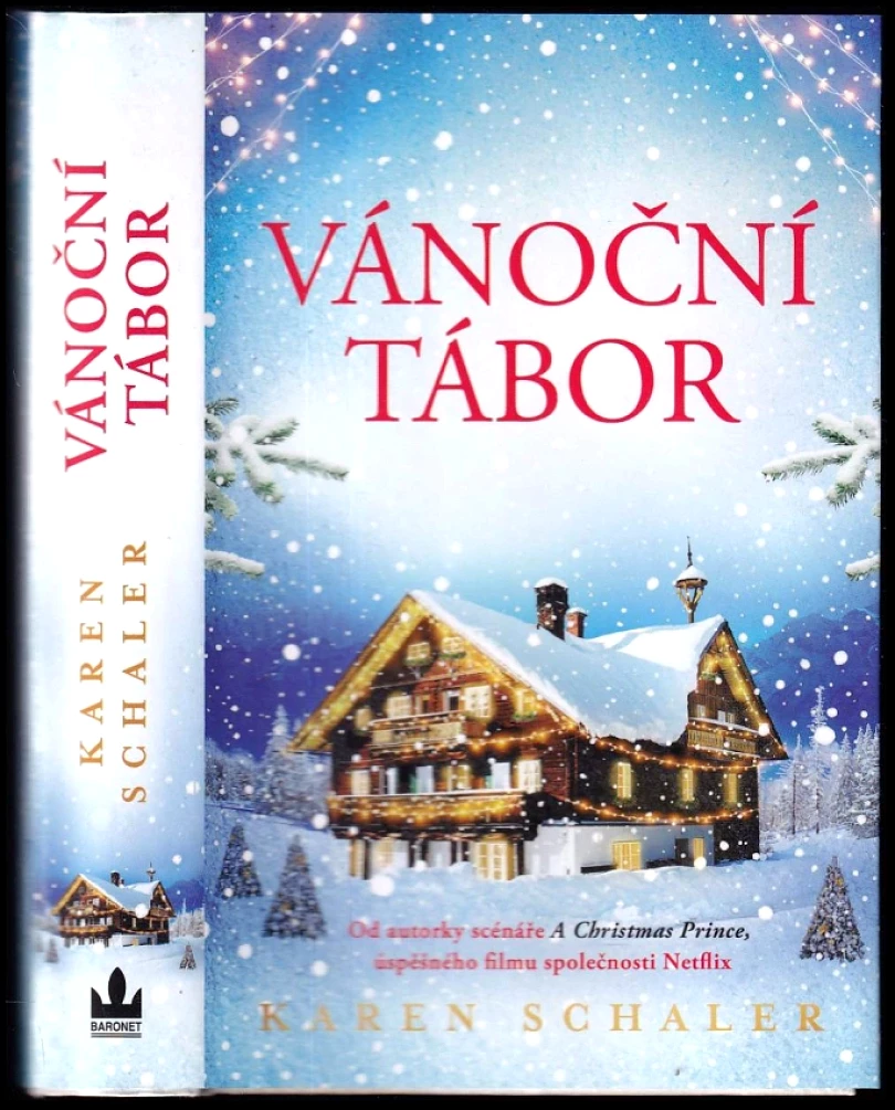 Levně Vánoční tábor (Karen Schaler, 2019)
