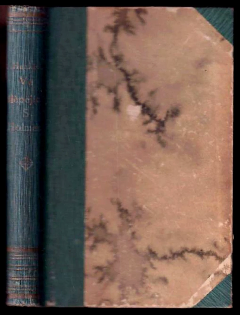 Ve šlepějích Šerloka Holmesa (Josef Skružný, 1920)