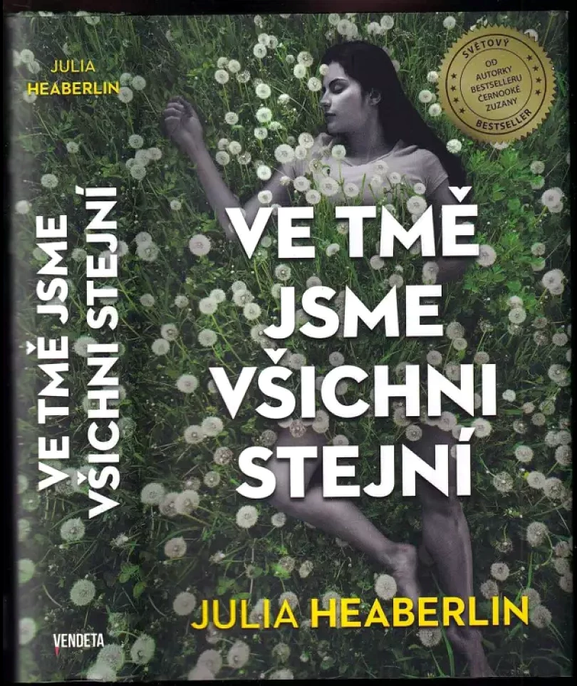 Levně Ve tmě jsme všichni stejní (Julia Heaberlin, 2021)