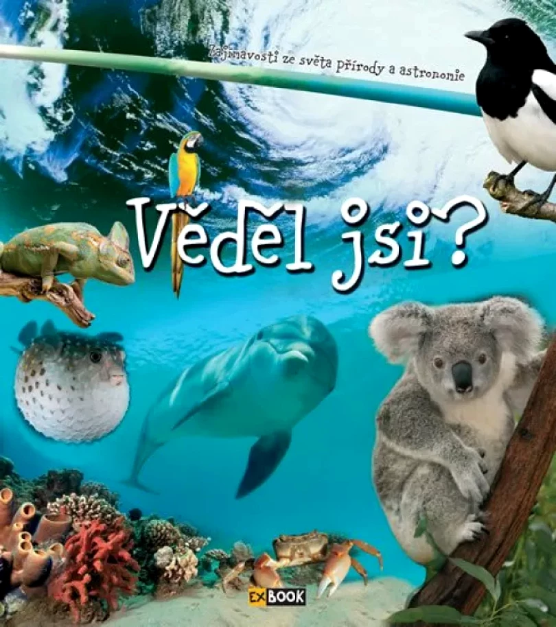 Věděl jsi? (, 2017)