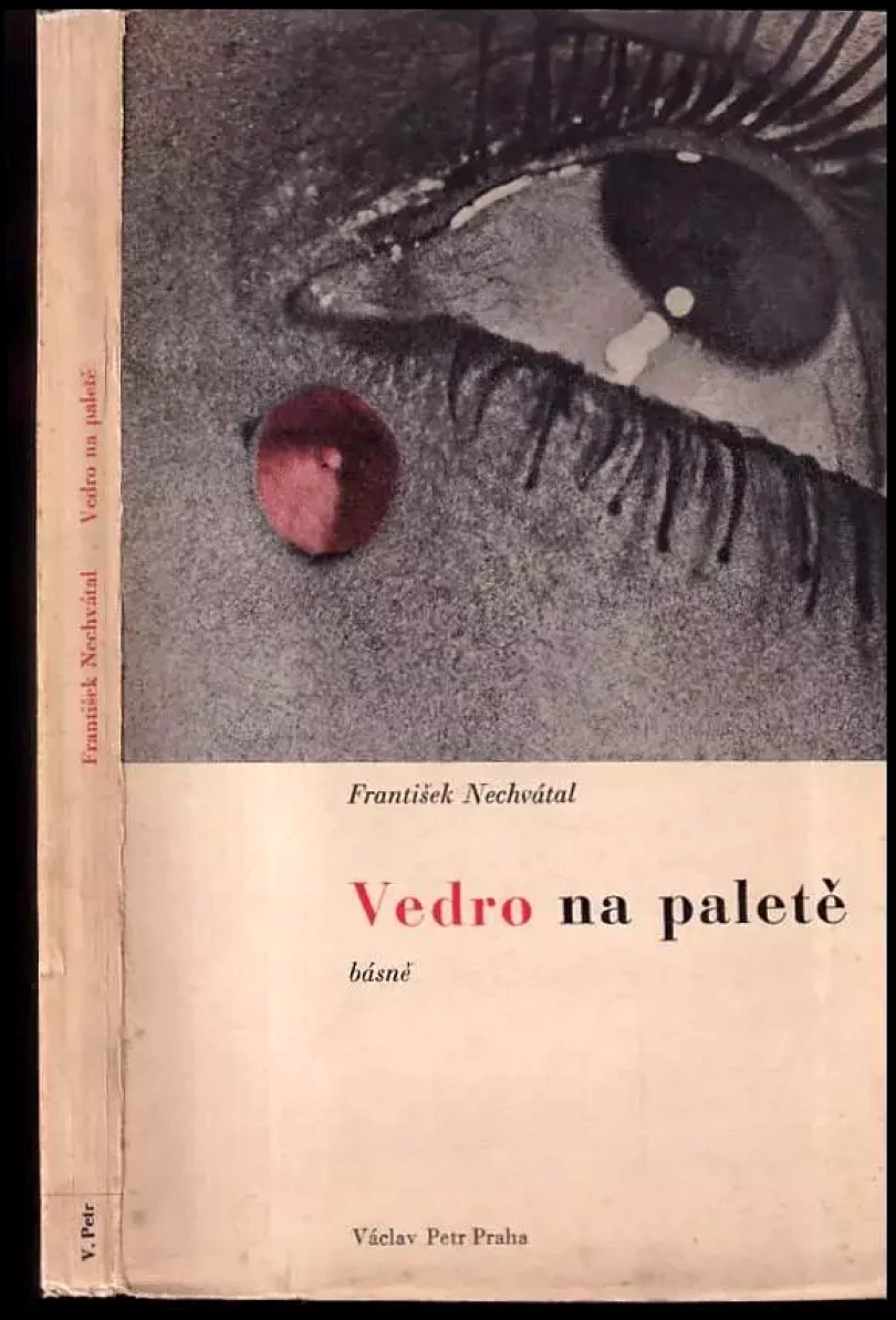 Levně Vedro na paletě (František Nechvátal, 1935)