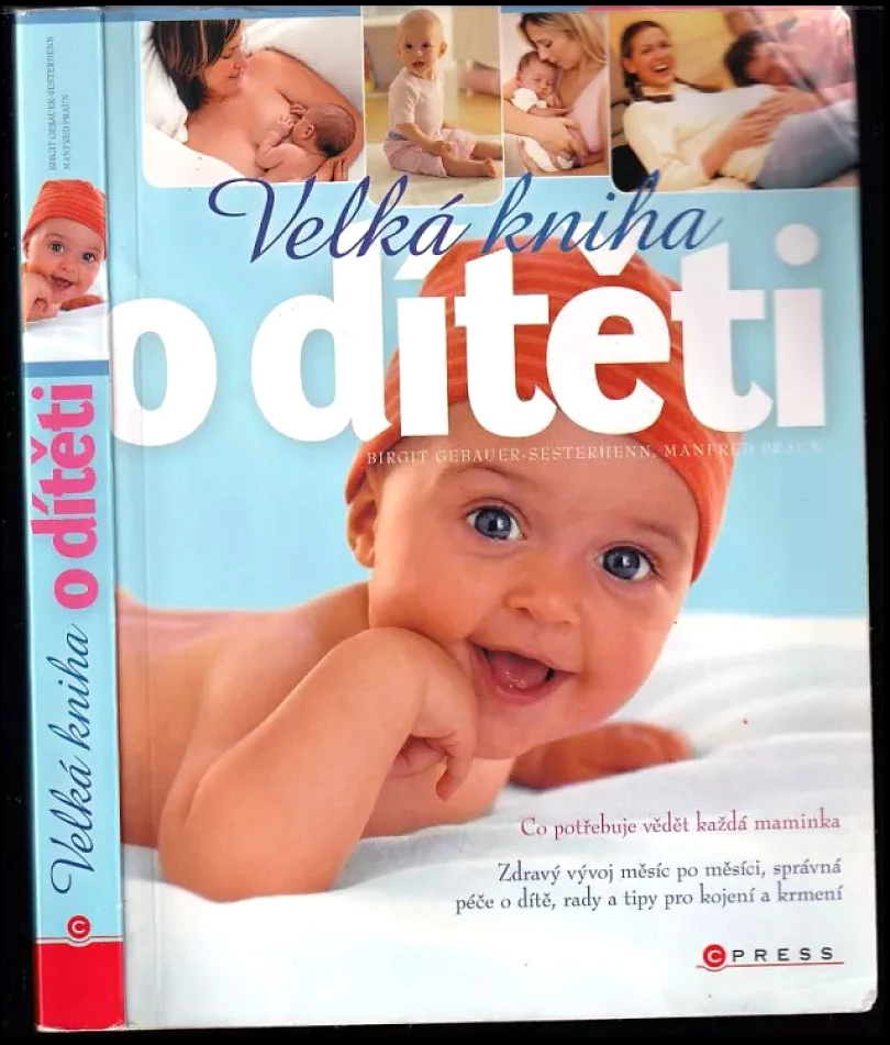 Levně Velká kniha o dítěti (Birgit Gebauer-Sesterhenn, 2009)
