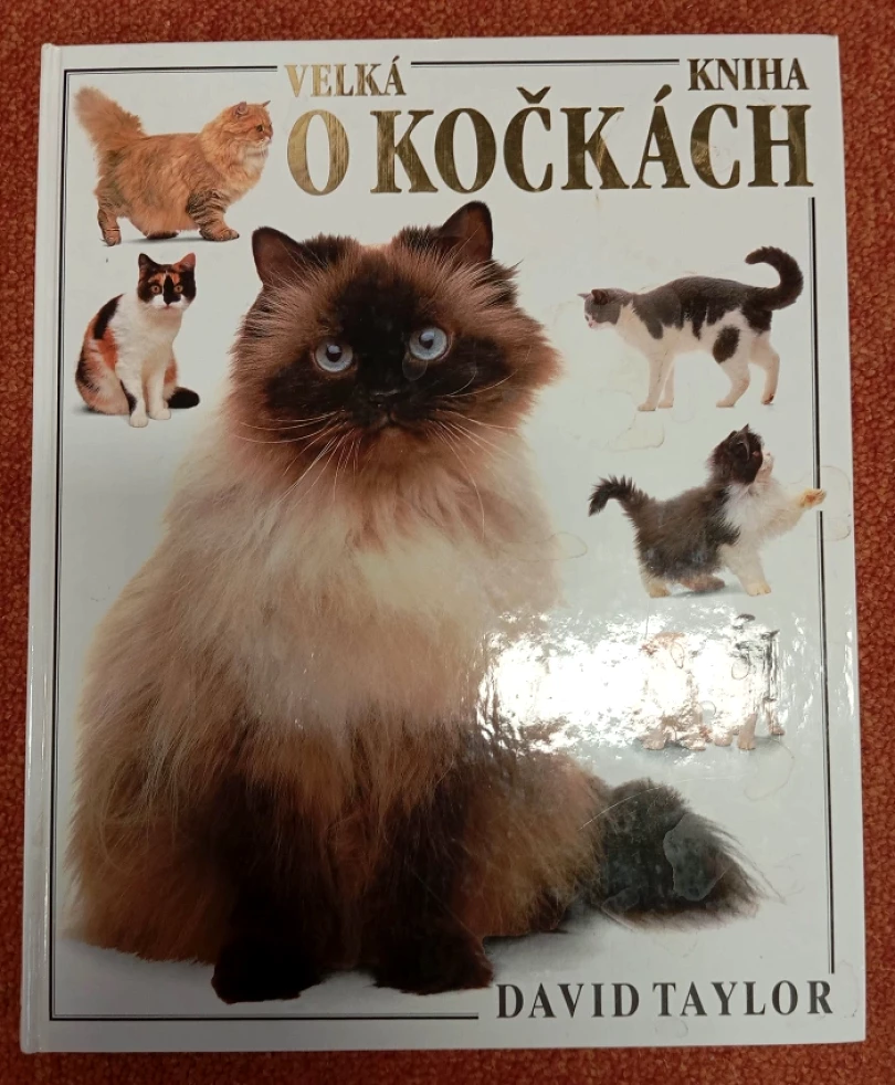 Levně Velká kniha o kočkách (David Taylor, 2001)