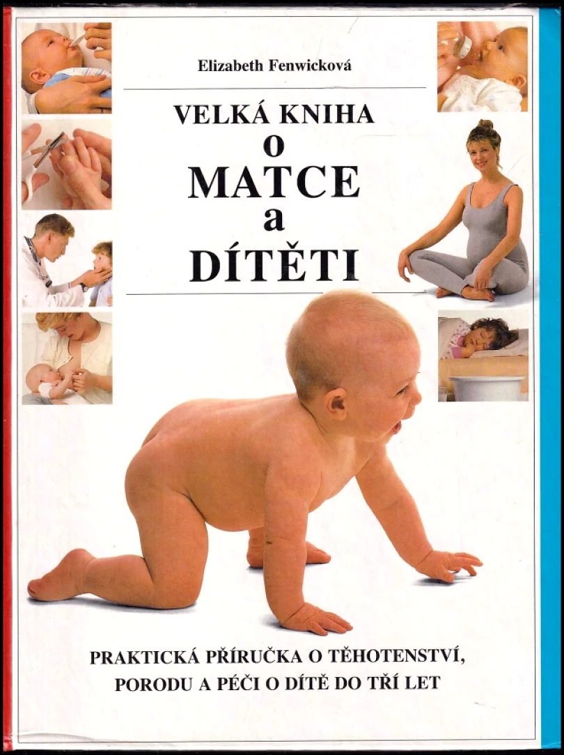 Levně Velká kniha o matce a dítěti (Elizabeth Fenwick, 1993)