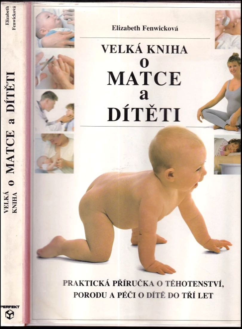 Levně Velká kniha o matce a dítěti (Elizabeth Fenwick, 1992)