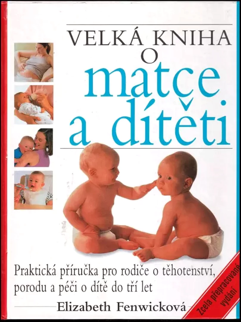 Levně Velká kniha o matce a dítěti (Elizabeth Fenwick, 2008)