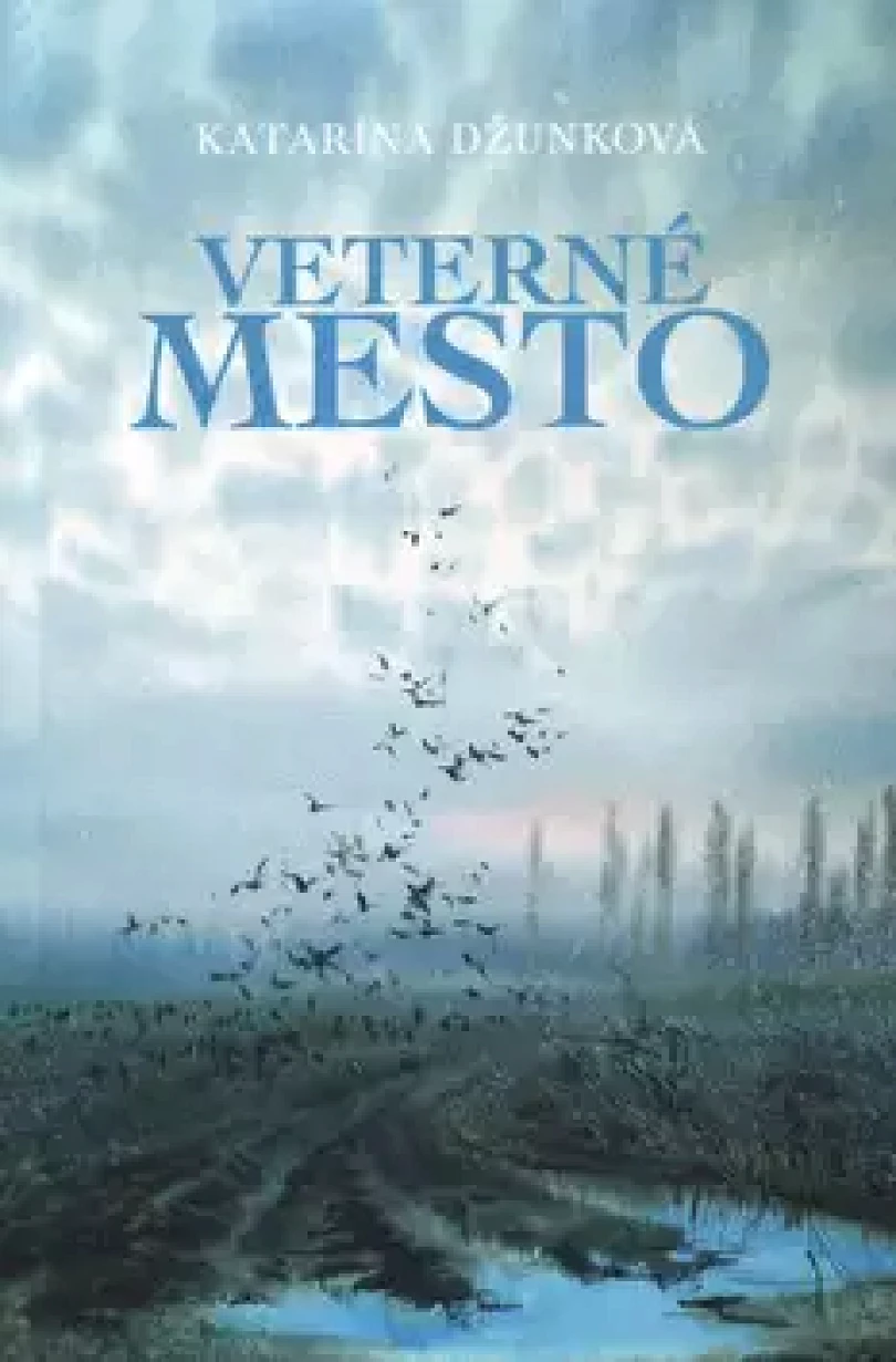 Veterné mesto (Katarína Džunková, 2017)