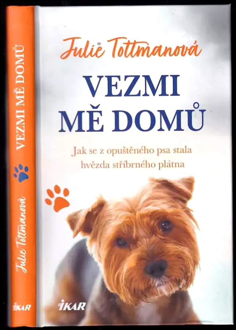 Levně Vezmi mě domů (Julie Tottman, 2021)