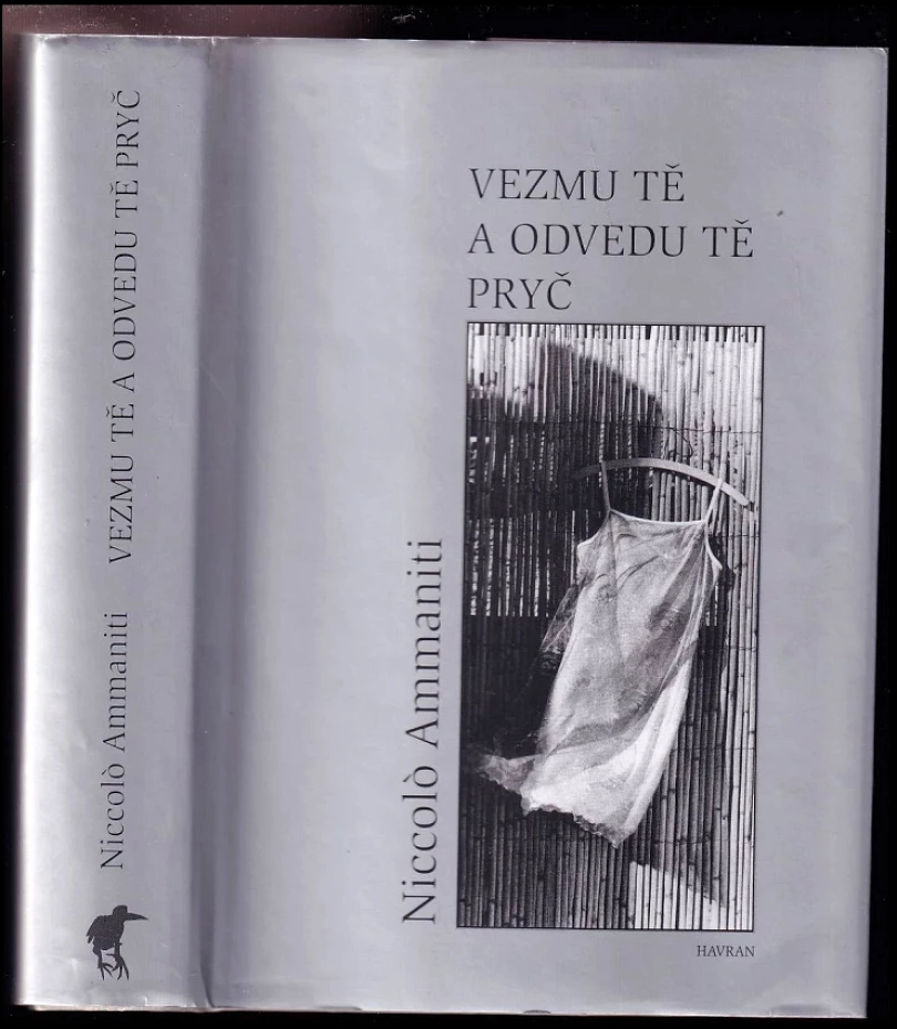 Vezmu tě a odvedu tě pryč (Niccolò Ammaniti, 2008)