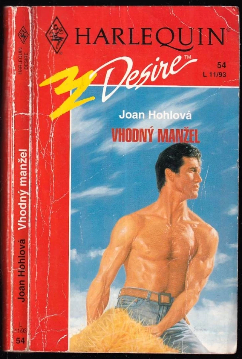 Levně Vhodný manžel (Joan Hohl, 1993)