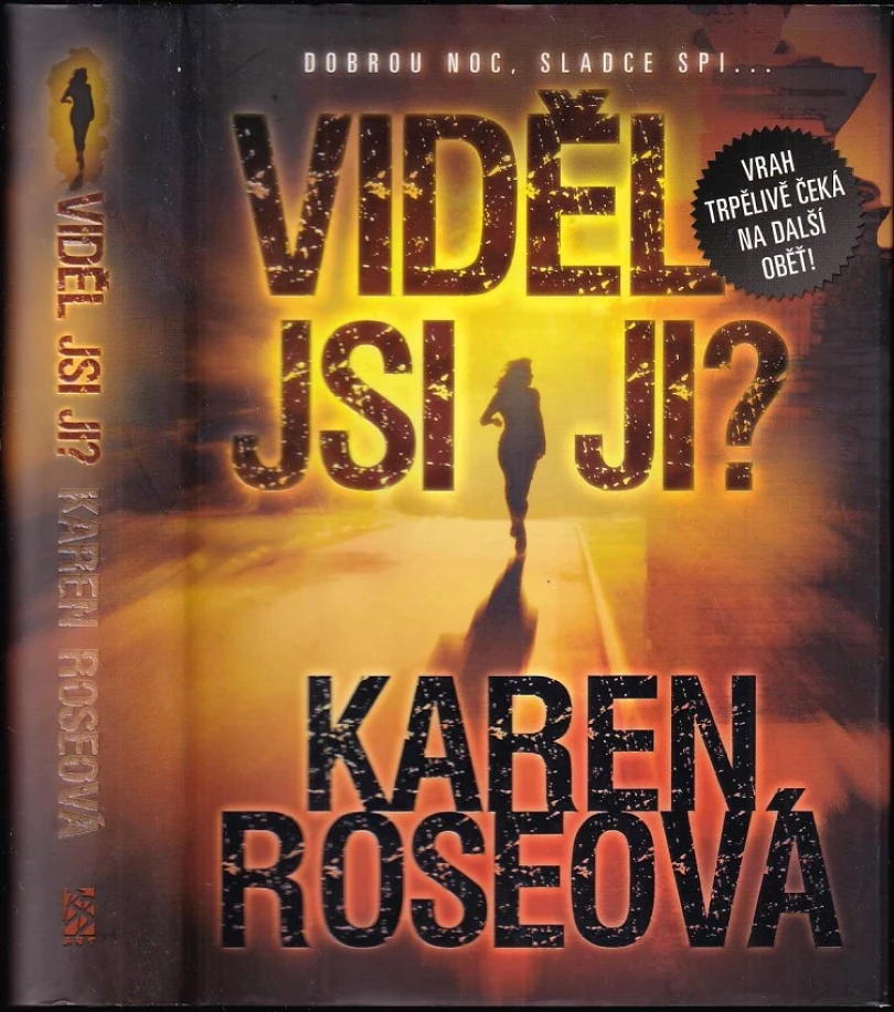 Viděl jsi ji? (Karen Rose, 2011)